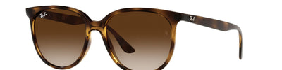 RAY-BAN RB4378 71013 - Brown/Havana Acetate