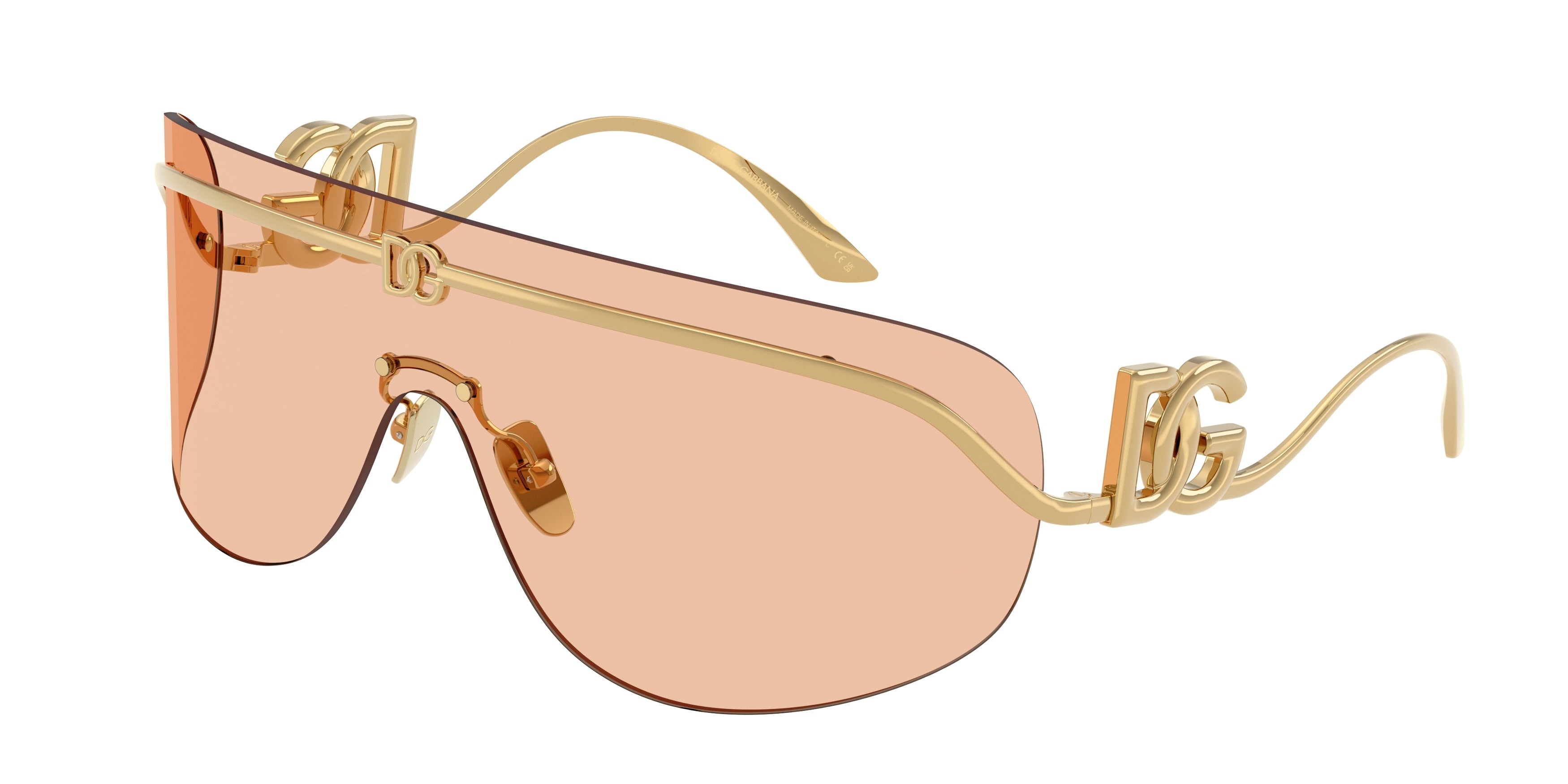 Dolce & Gabbana DG2320 02/73