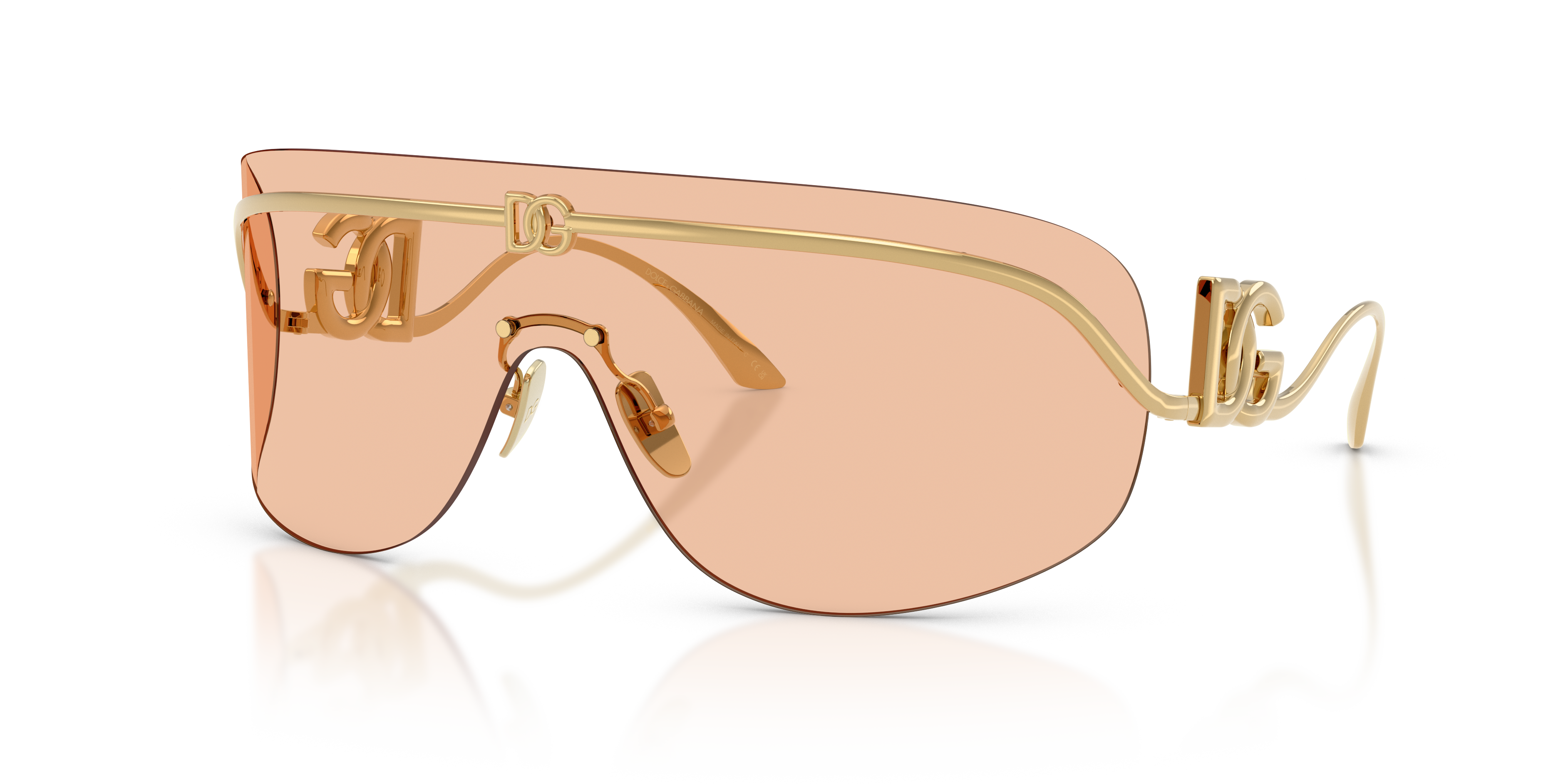 Dolce & Gabbana DG2320 02/73