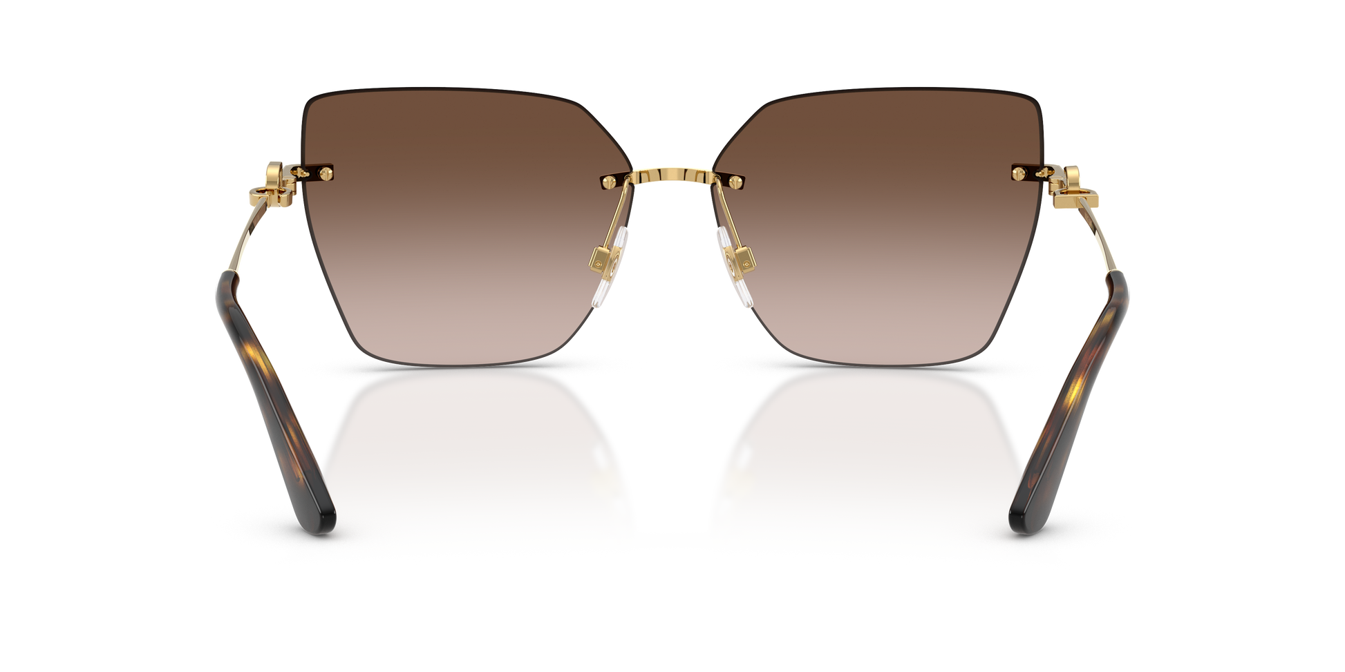 Dolce & Gabbana DG2321 02/13