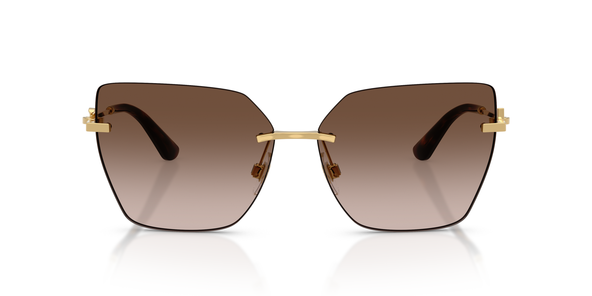 Dolce & Gabbana DG2321 02/13