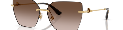 Dolce & Gabbana DG2321 02/13