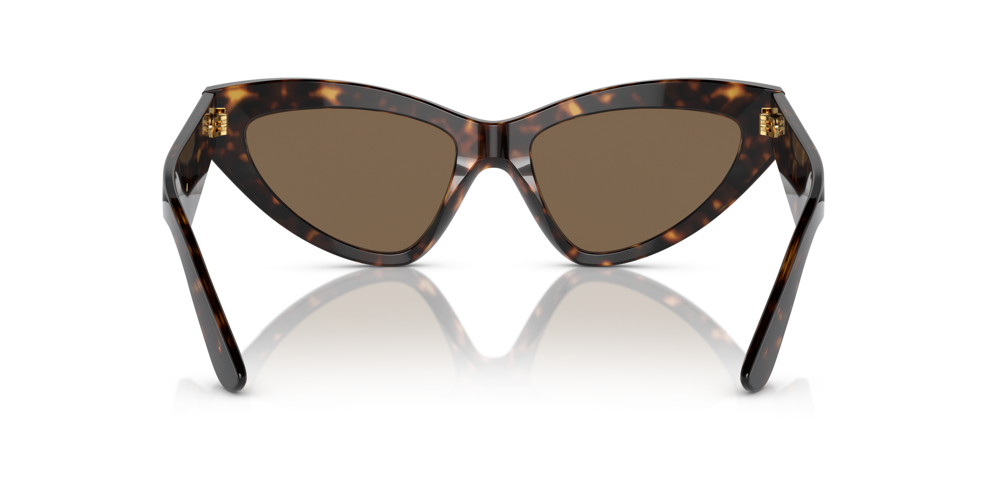 Dolce & Gabbana DG4439 502/73