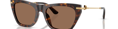Dolce & Gabbana DG4511 502/73