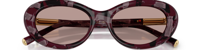Dolce & Gabbana DG4519 34647N