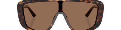 Dolce & Gabbana DG4520 502/73