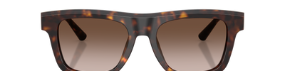 Dolce & Gabbana DG4521 502/13