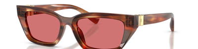 Dolce & Gabbana DG4532 322175