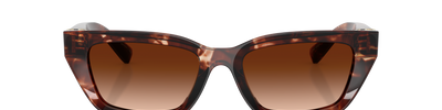 Dolce & Gabbana DG4532 322274