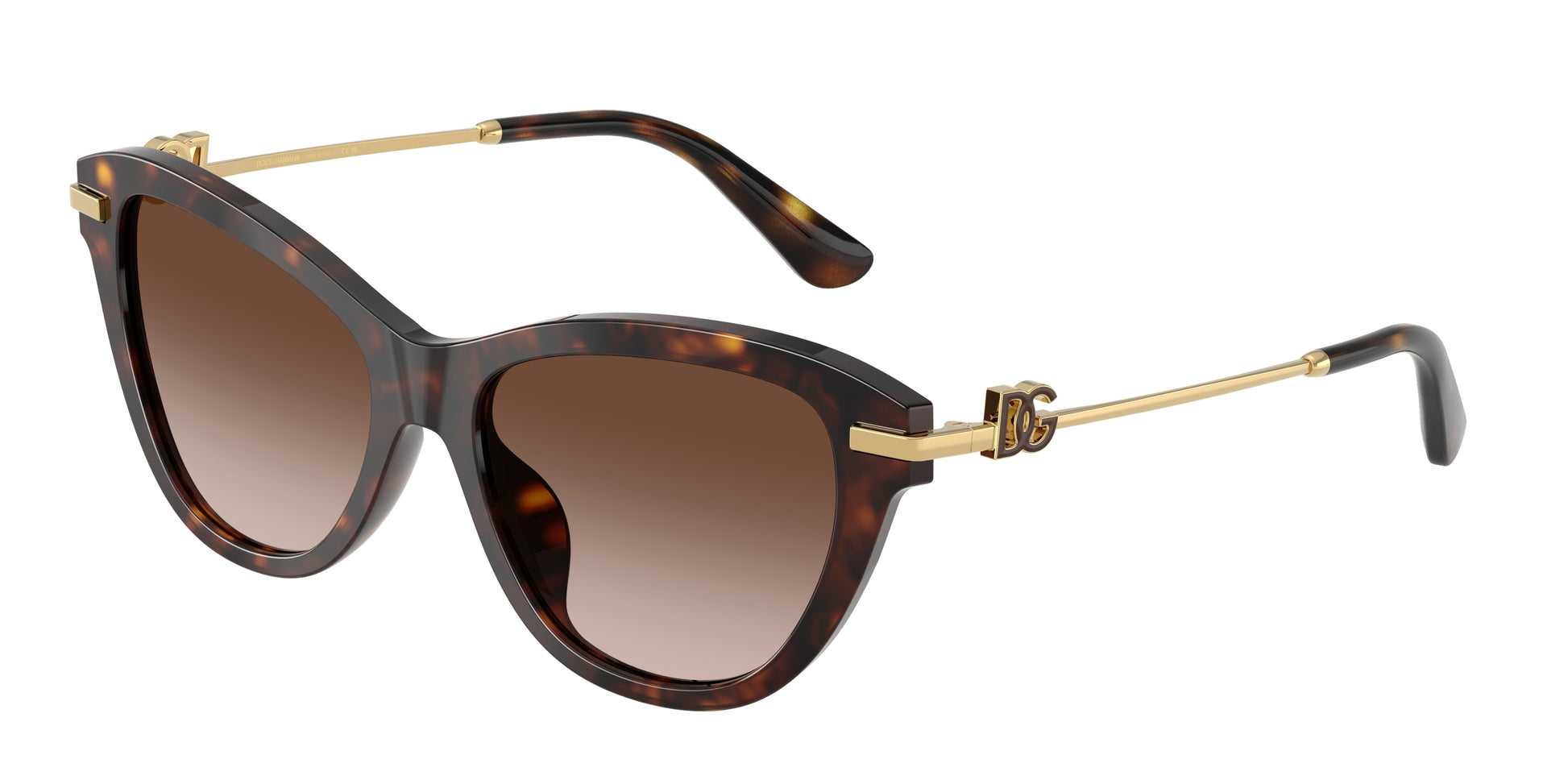 Dolce & Gabbana DG4534 502/13