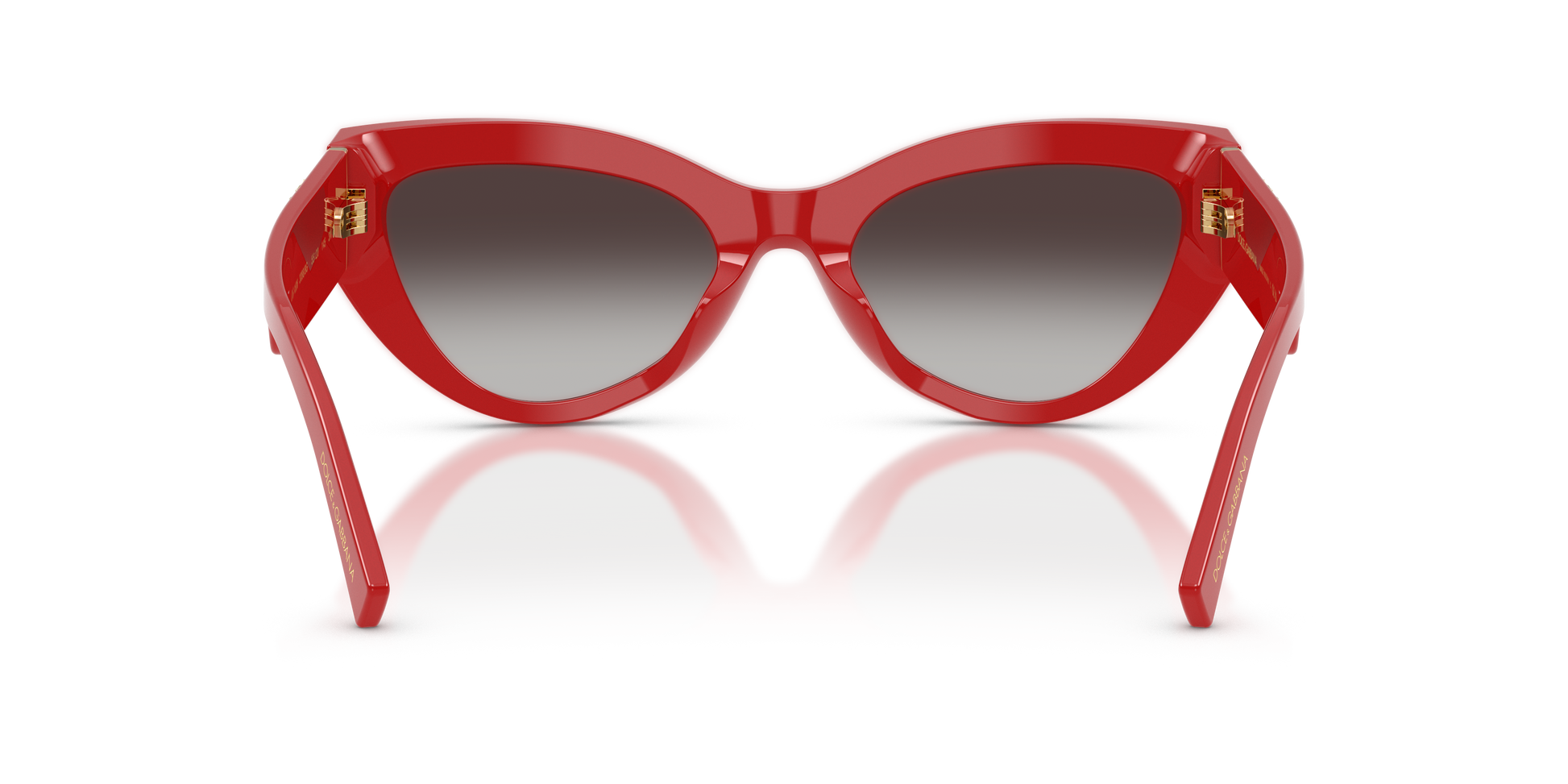 Dolce & Gabbana DG4536 30888G