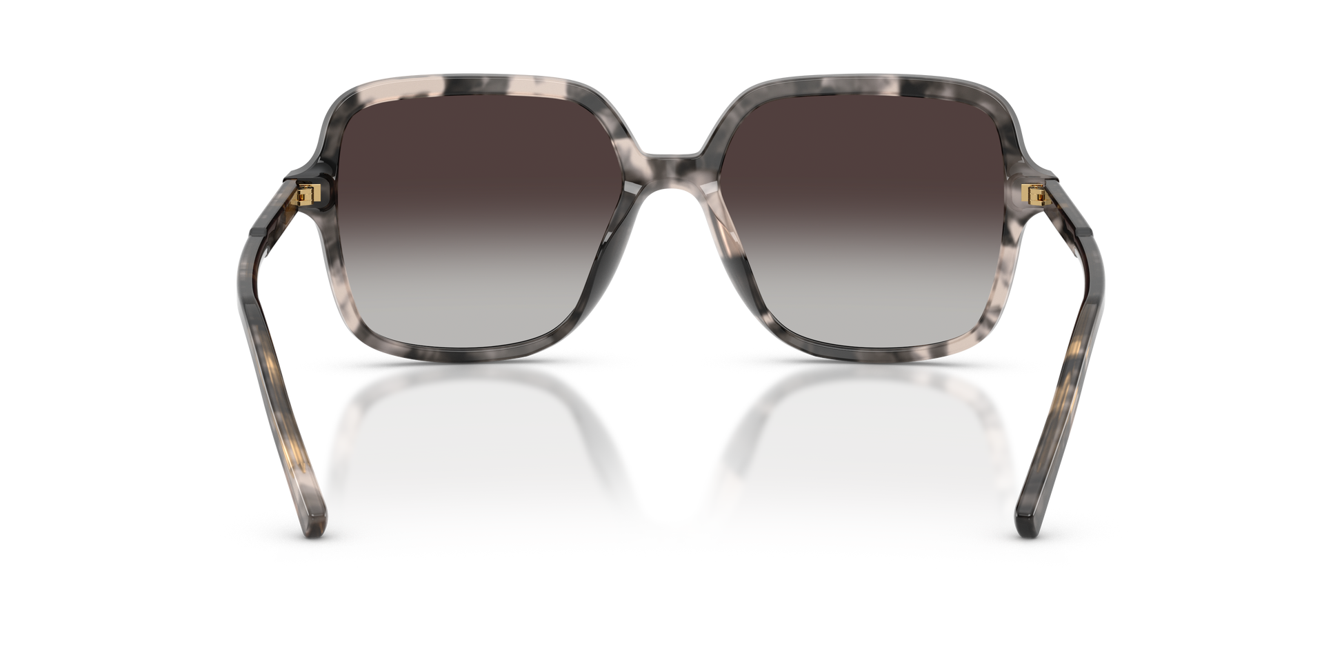 Dolce & Gabbana DG4539 31728G