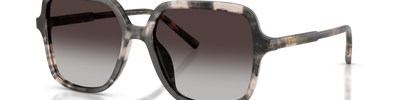 Dolce & Gabbana DG4539 31728G
