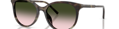 Dolce & Gabbana DG4540 34782C