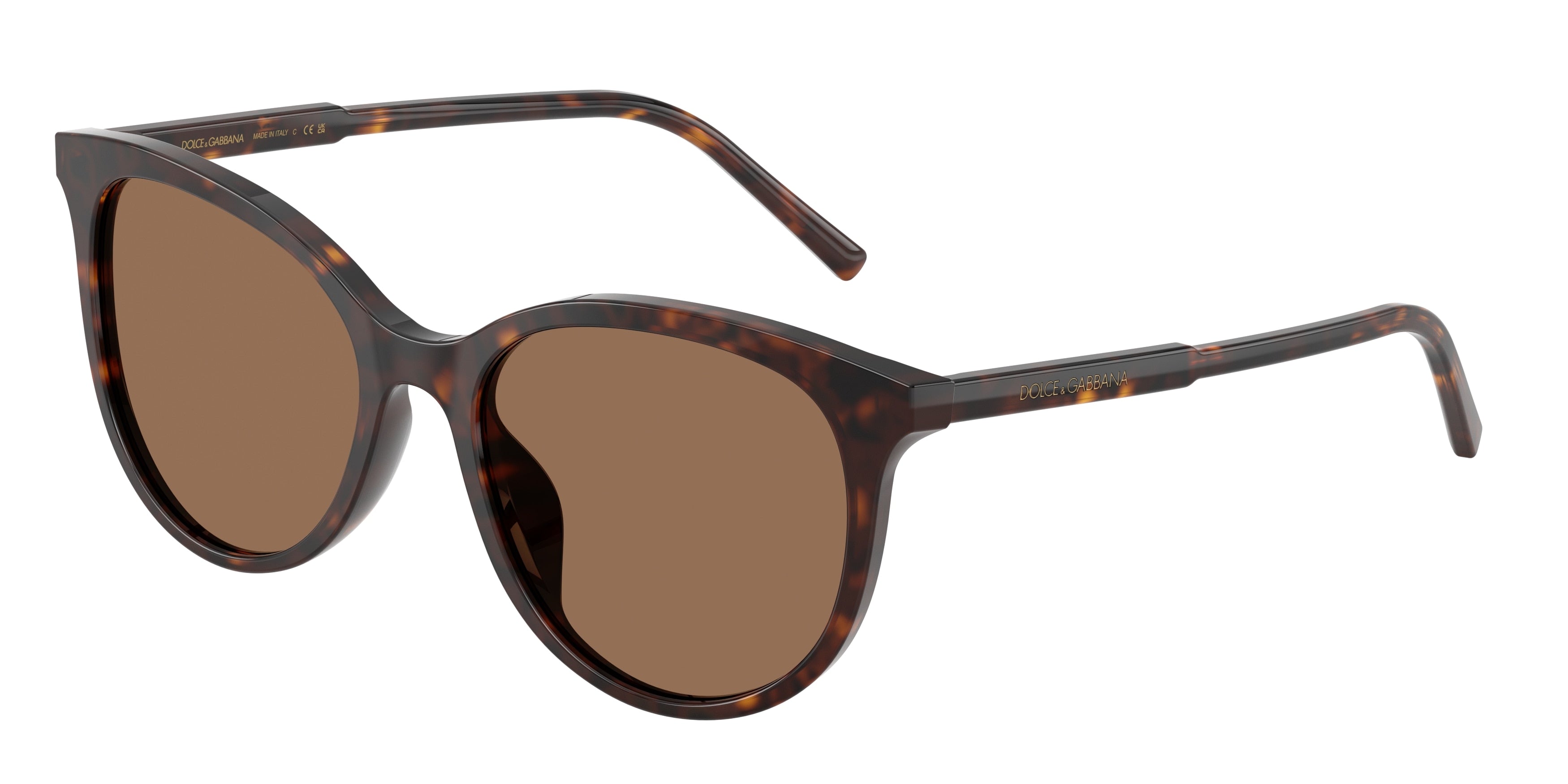 Dolce & Gabbana DG4540 502/13