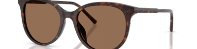 Dolce & Gabbana DG4540 502/13