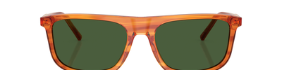 Dolce & Gabbana DG4542 348371