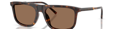 Dolce & Gabbana DG4542 502/73