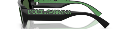 Dolce & Gabbana DG6203 501/71