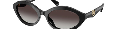 Michael Kors CARLAZZO MK2257U 30058G