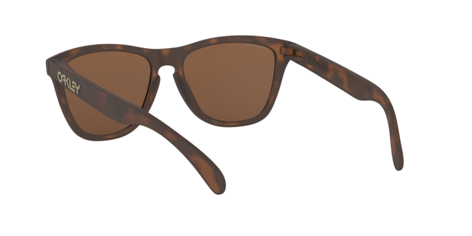Oakley FROGSKINS OO9013 9013C5