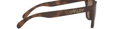 Oakley FROGSKINS OO9013 9013C5