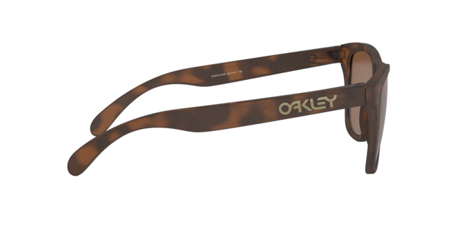 Oakley FROGSKINS OO9013 9013C5
