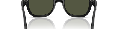 Persol PO0064S 95/31