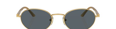 Persol IDA PO1018S 1129R5