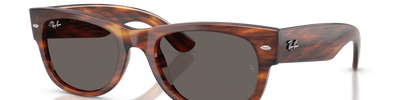 Ray-Ban MEGA WAYFARER II RB0832S 954/B1