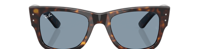 Ray-Ban MEGA WAYFARER RB0840S 902/56