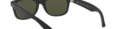 Ray-Ban NEW WAYFARER RB2132 622