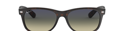 Ray-Ban NEW WAYFARER RB2132 894/76