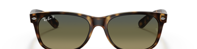 Ray-Ban NEW WAYFARER RB2132 894/76