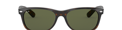 Ray-Ban NEW WAYFARER RB2132 902L