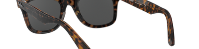 Ray-Ban WAYFARER RB2140 1292B1