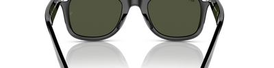 Ray-Ban WAYFARER RB2140 135831