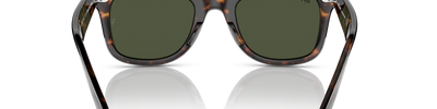 Ray-Ban WAYFARER RB2140 135931