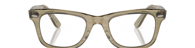 Ray-Ban WAYFARER RB2140 1387GG