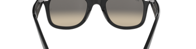Ray-Ban WAYFARER RB2140 901/32