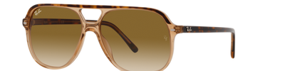 Ray-Ban BILL RB2198 129251