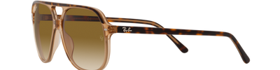 Ray-Ban BILL RB2198 129251