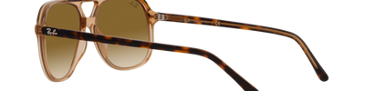 Ray-Ban BILL RB2198 129251