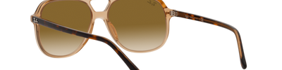 Ray-Ban BILL RB2198 129251