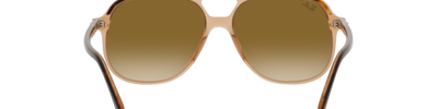 Ray-Ban BILL RB2198 129251