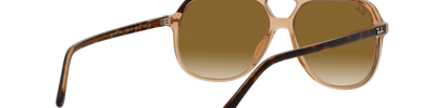 Ray-Ban BILL RB2198 129251