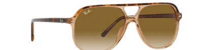 Ray-Ban BILL RB2198 129251