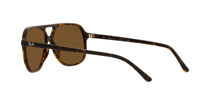 Ray-Ban BILL RB2198 902/57