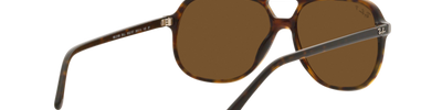 Ray-Ban BILL RB2198 902/57