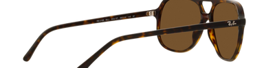 Ray-Ban BILL RB2198 902/57